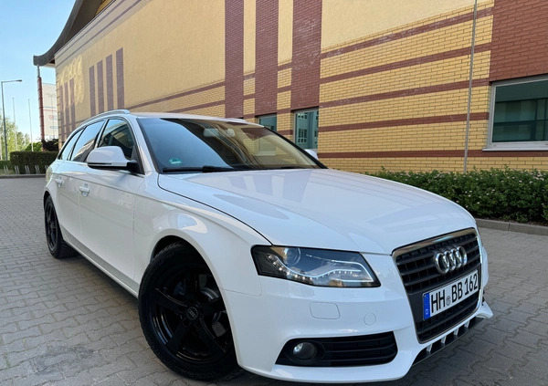 Audi A4 cena 37900 przebieg: 205190, rok produkcji 2008 z Elbląg małe 667